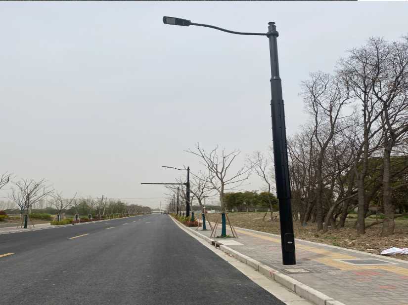 红谷滩区上海综合杆 太阳能路灯工程